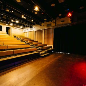 Theatre Seating - King Alfred Phoenix Theatre
