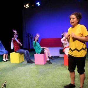 Theatre Hire at the King Alfred Phoenix Theatre