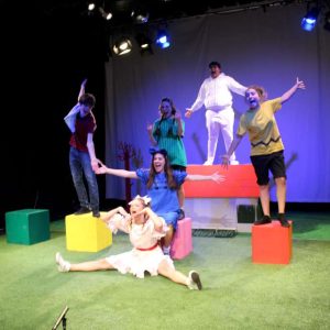 Theatre Hire at the King Alfred Phoenix Theatre